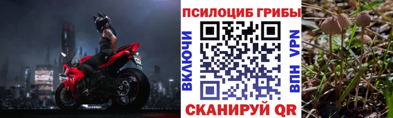 Галлюциногенные грибы мицелий  MEGA рабочий сайт  Калачинск  купить наркоту 
